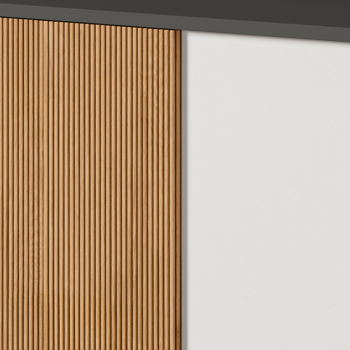 Auxiliary shoe rack with 2 sliding doors, BICORP model.